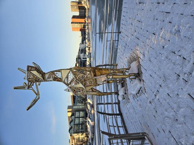 Frozen Brayford Pool, Lincoln, England
